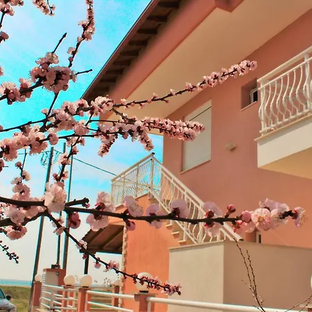 Theodora Paralia Dionisiou