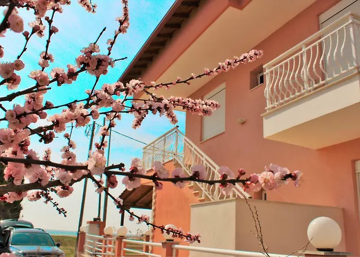 Theodora Paralia Dionysiou